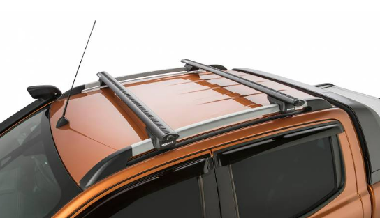 Barras de techo Rhino-Rack