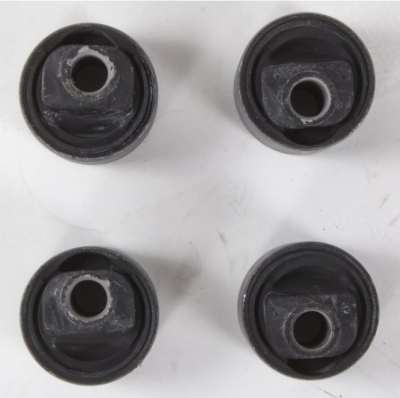 Caster Kit excéntrico Afrikaan 2.5º